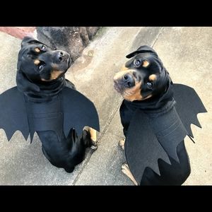 Dog Bat Costume - Large